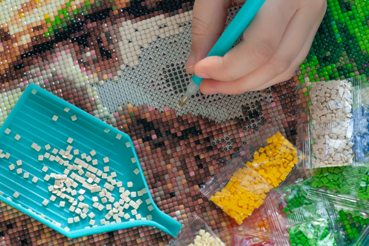 broderie diamant full drill DMC