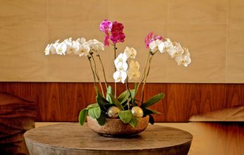 Comment protéger fleurs artificielles ?