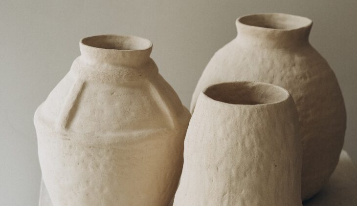 Tout savoir sur le vase céramique et ses nombreux avantages